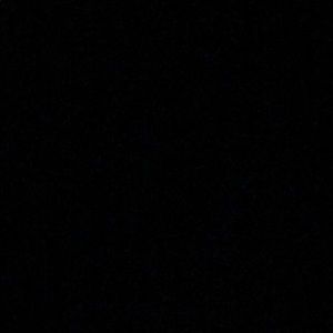 Meet your Posher, Reese